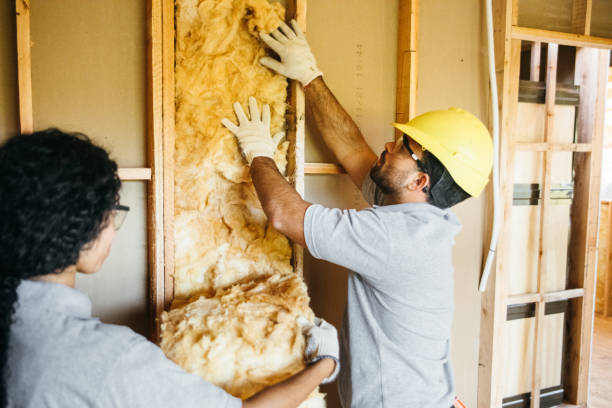 Best Wall Insulation Installation  in South Huntington, NY